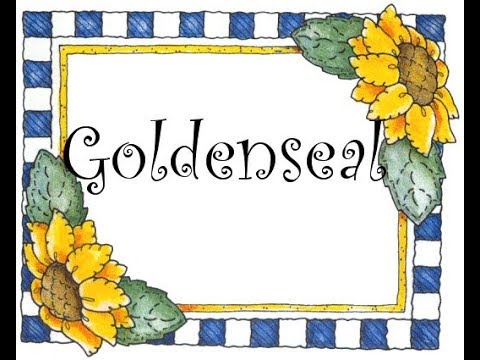 Video: Faedah Kesihatan Goldenseal - Menanam Tumbuhan Goldenseal Di Taman