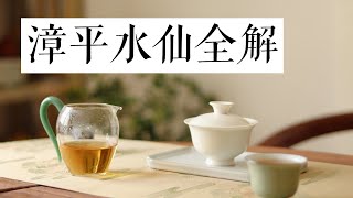 【清山茶事】小众又特别的茶漳平水仙全干货讲解