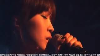 Video voorbeeld van "Gouryella -Ligaya (Mindcube Live @ Rolling Hall Korea)2010.05.04"