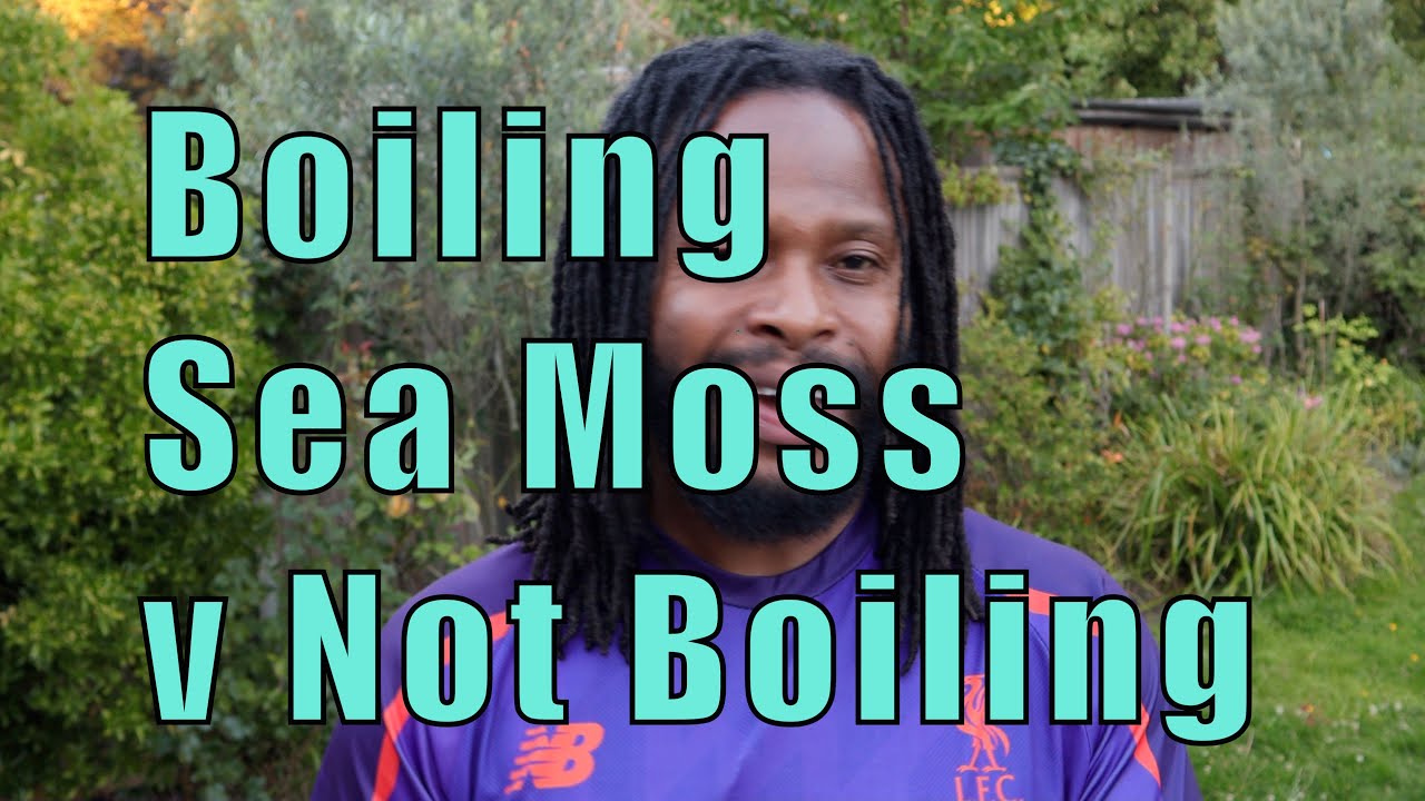 Making Sea Moss Gel Boiling VS. Not To Boiling