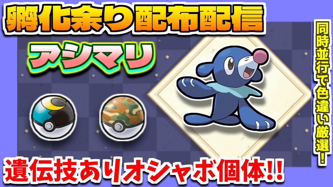 ポケモン配布 ムンボ サファボ入り 七世代御三家 アシマリ 孵化余り配布 色違い厳選配信 ポケモン剣盾 色違い厳選 Youtube
