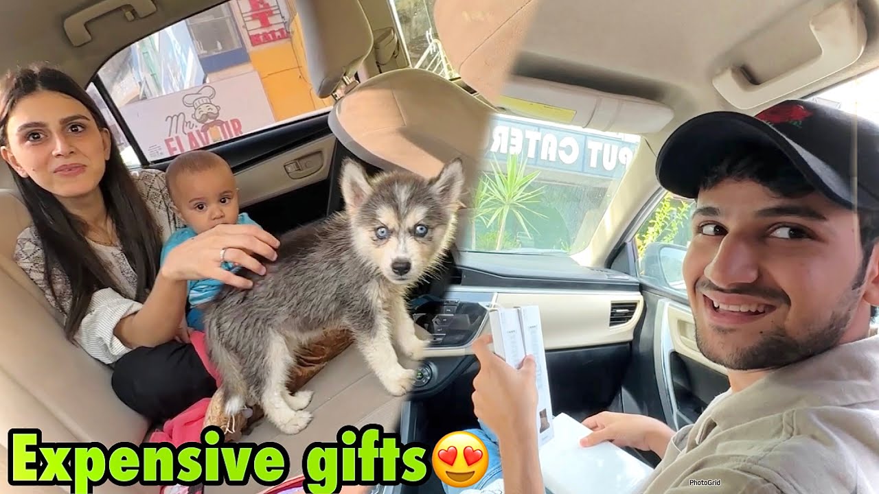 Full of surprises vlogs | ultra watch | husky dog | Basil ka papa ko dekh ke reaction😍
