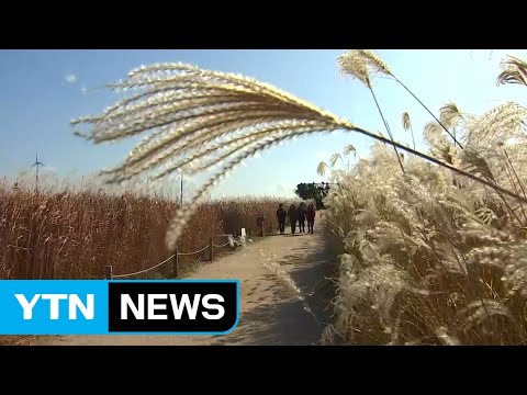 [날씨] 내륙 맑고 쌀쌀...강원 산간 또 30cm 폭설 / YTN