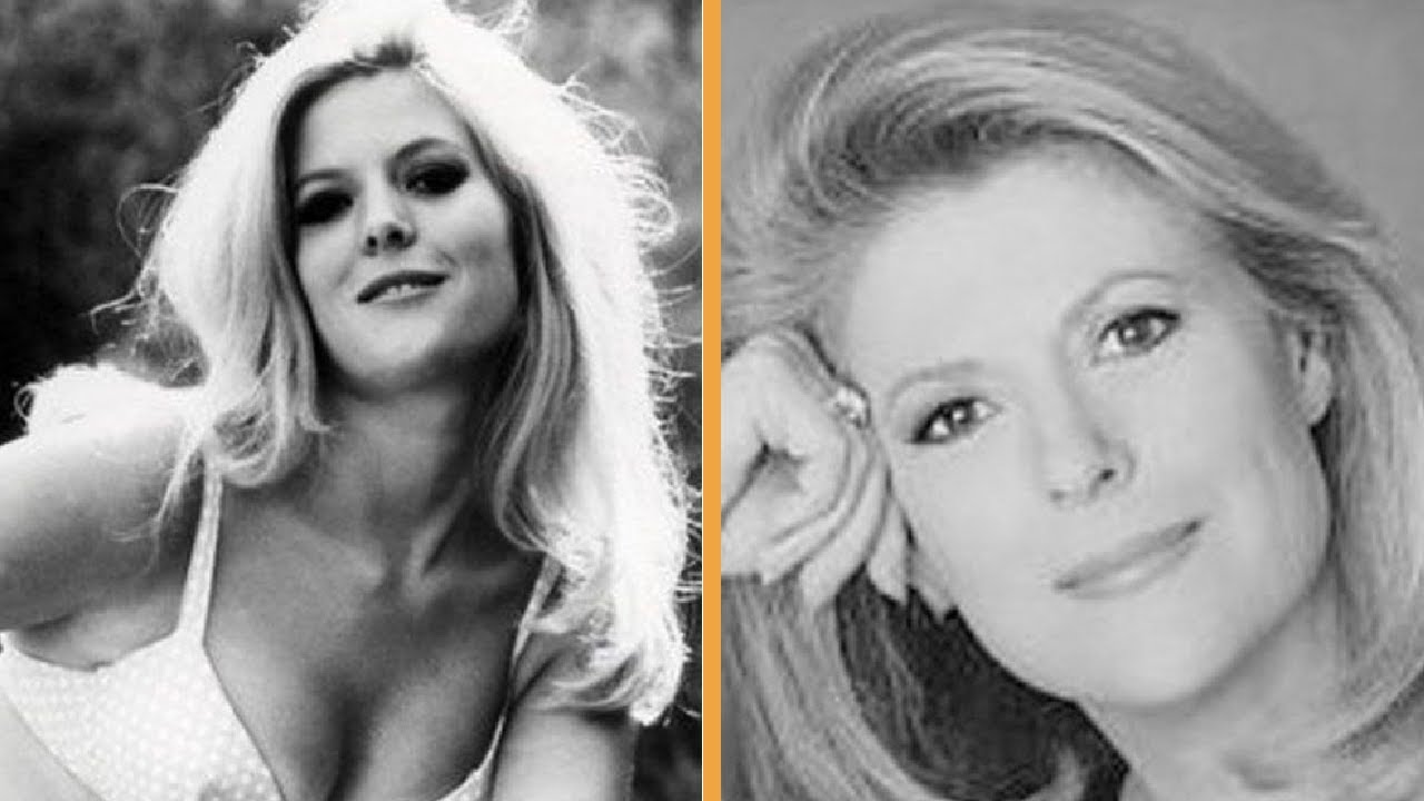 The Humble Career of Meredith MacRae from My Three Sons