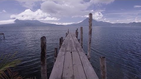 Premiere Rush, Premiere Pro, and Adobe Media Encoder