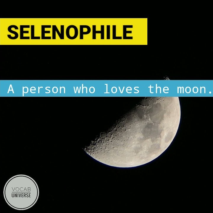 selenophile-meaning-in-hindi-and-english-pronunciation-word-daily