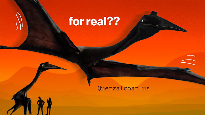 The world's weirdest giants, decoded by science