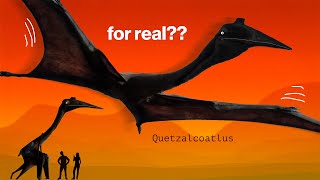 The largest flying animal ever—revealed by just 16 bones