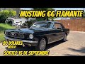 Ford Mustang 66  Flamante