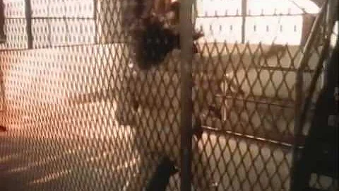 Terry Ellis - What Did I Do To You? (Video)