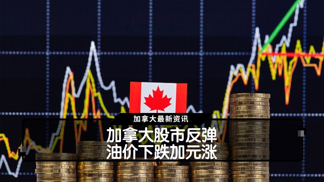 加拿大股市反弹 油价下跌加元涨