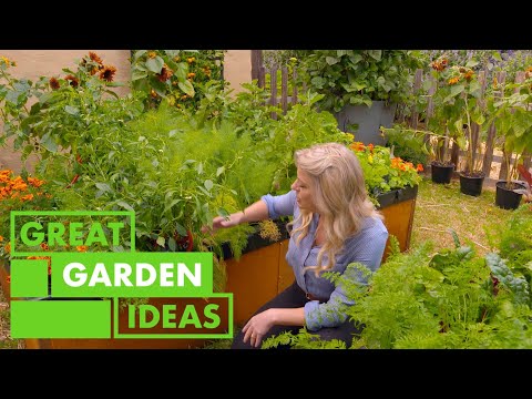 Video: Heirloom Grönsaker - Tips för att odla Heirloom-växter