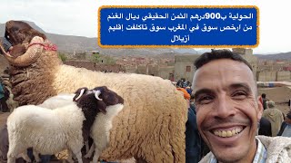الحولية ب900درهم الثمن الحقيقي ديال الغنم من ارخص سوق في المغرب سوق تاكلفت إقليم أزيلال