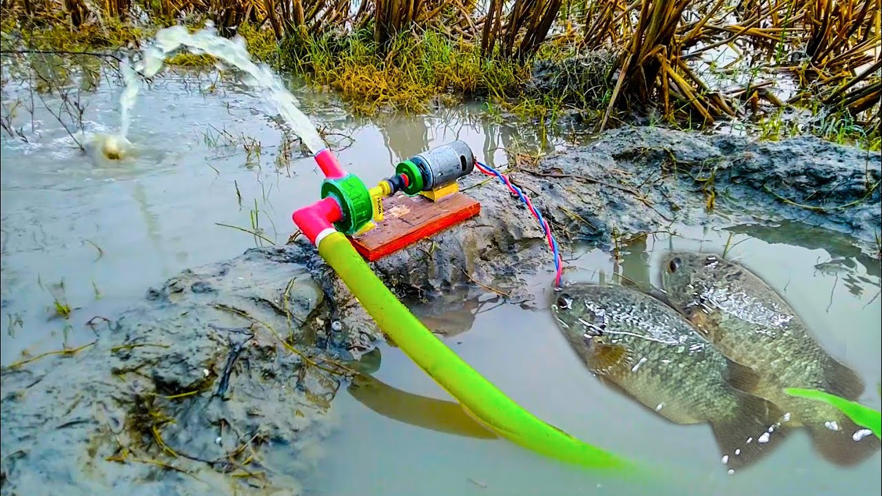 Water Pump Fishing Idea - Many Fish Catching From Field Using Water ...