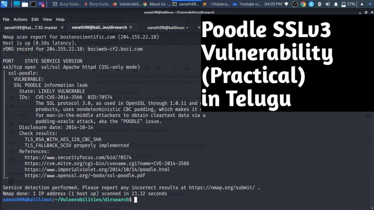 Poodle Sslv3 Vulnerability In Telugu Practical Cyber Security Bug