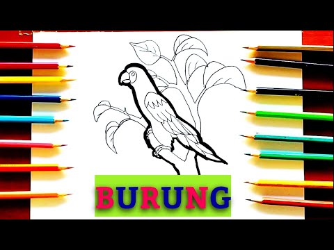 Cara menggambar  dan mewarnai burung paling  mudah cara 