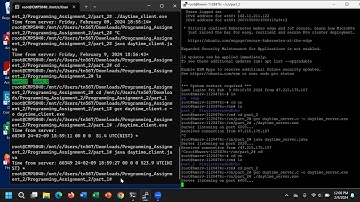 Computer Networks Programming Assignment 2