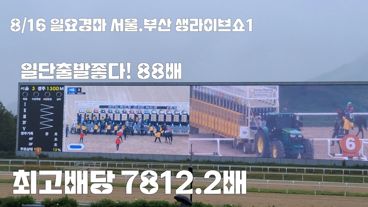 부산은 왠종일 비가내리고~ (일요경마 서울.부산 생라이브쇼1)