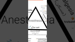 مثلث التخدير Triangle of anaesthesia:: امجد عدنان