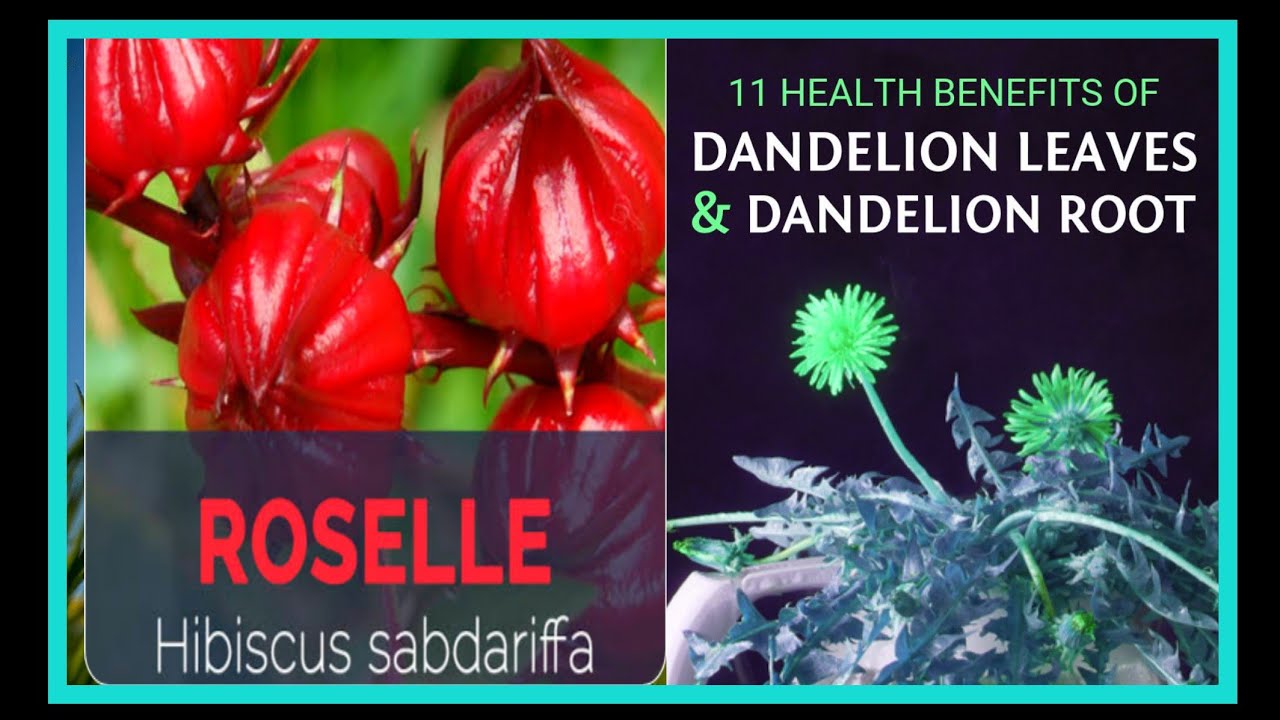 22 Amazing Health Benefits Of Roselle And 11Health Benefits Of