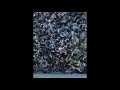 The Caretaker - Everywhere, an empty bliss (CD + digital versions COMBINED)