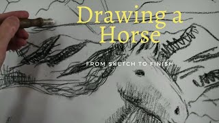 How to draw a horse from sketch to finish!