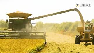 Agricultural product storage and processing