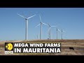 Mauritania to be energy surplus by 2030 with huge network of solar and wind farms   climate tracker