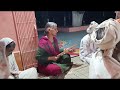 नर्मदा परिक्रमेचा पंच्यान्नववा दिवस गोदांओगाव ते हरिहर आश्रम भमौरी