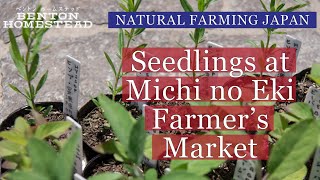 Selling Seedlings at Michi no Eki Farmer's Market » Natural Farming Japan » Ōmishima, Imabari, Ehime