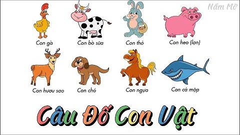 Câu đố con vật cho bé có đáp án - Hình ảnh đẹp cho bé phát triển trí tư duy - Tốp 15 câu đố hay nhất