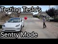 Does Tesla's Sentry Mode Work?