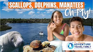 Swimming with Manatee, Dolphin Sighting and Scallop Fishing in Crystal River, Florida