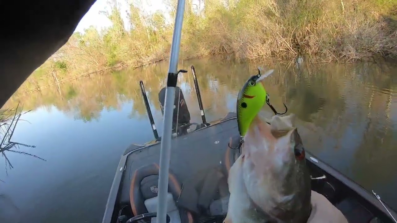 Bass Fishing Tournament on the Apalachicola River on March 11, 2023  Solid Day!