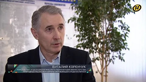 Как животные попадают в Красную книгу?