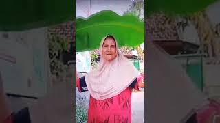 Memory Daun pisang cover Dian pramana