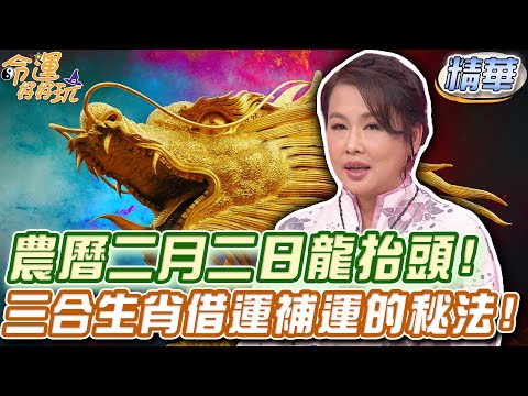 農曆二月二日龍抬頭！三合生肖借運補運！【精華版】