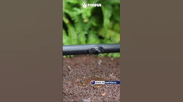 Béc tưới nhỏ giọt bù áp Pinch Drip PC 2-4 lít/giờ Antelco - Úc #bectuoinhogiot #tuoitudongmaka