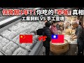 嚇死人！保質期1年的「殭屍包子」你敢吃？😱中國早餐全面崩盤，台灣這一幕讓中國網友羨慕！