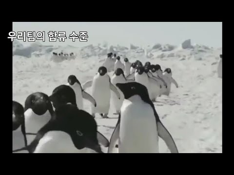 합류차이 2