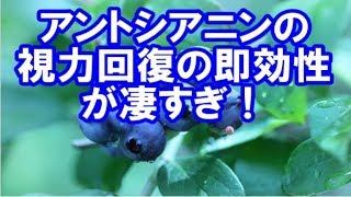【ブルーベリー】アントシアニンの視力回復の即効性が凄すぎ！