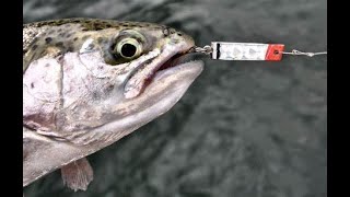 How to Catch Trout Fishing Super Duper Lures 