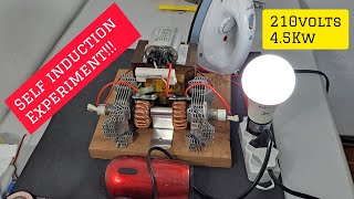 Self Induction Project - Free Energy Experiment.