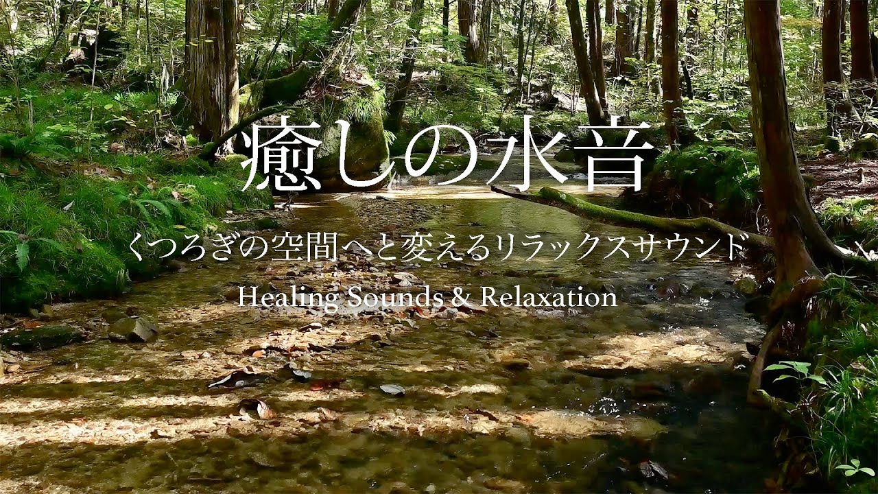 [ASMR自然音] 川のせせらぎと鳥のさえずりNature Sounds 疲れた心身の回復 - YouTube
