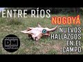 Hallazgos En Entre Rios Nogoya