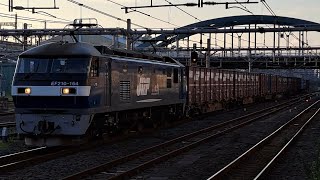 短編成！《吹田桃を新鶴見桃が代走！》EF210 164号機[新]+コキ8両が大宮駅6番線を通過！(3096列車・コンテナ輸送)