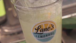 Made in Tampa Bay: Lane's Lemonade screenshot 2