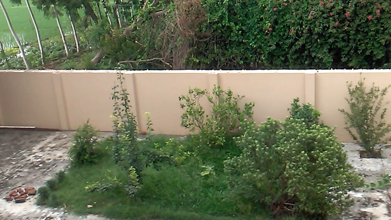 Assi kalan dance show baby' s