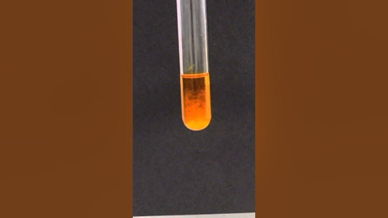 testing-for-aldehydes-ketones-2-4-dnp-youtube