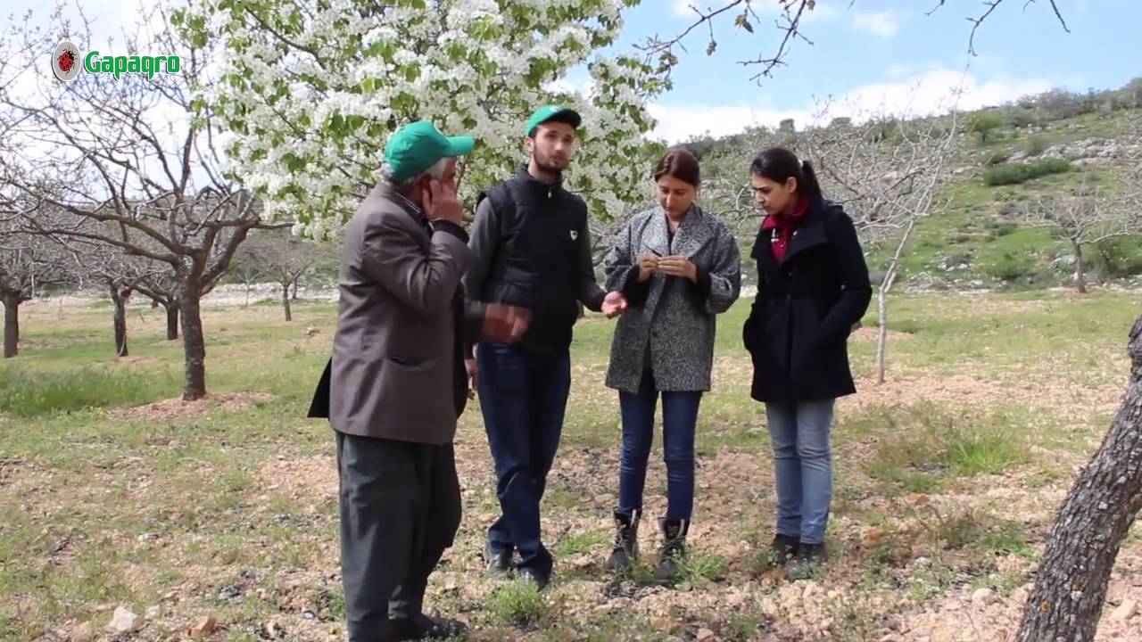 Kürüm Köyü Arazi Gezisi